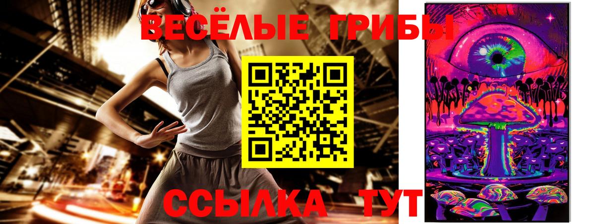 Ржев  Галлюциногенные грибы Magic Shrooms  Псилоцибиновые грибы GOLDEN TEACHER  Вход с VPN 